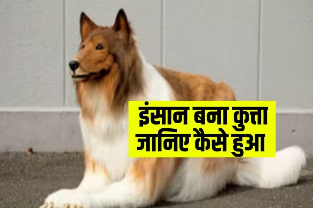 Man Becomes Dog : 11 लाख रुपए से ज्यादा खर्च करके इंसान से बना कुत्ता, जाने इसके पीछे की वजह!